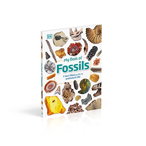 My Book of Fossils: A Fact-Filled Guide to Prehistoric Life