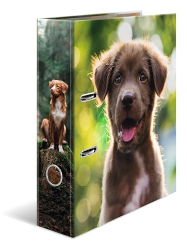 Classeurs A4 chien HERMA (lot de 5) : large dos 7 cm coloré et robuste pour l'école