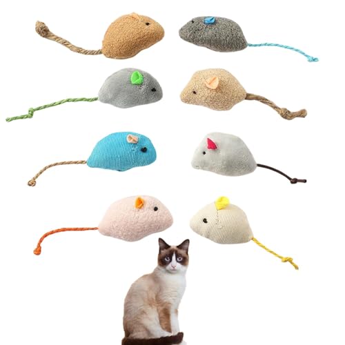 Lifetips Xm[V[ Snowshoe Lp lY~ʂ 8Zbg qL L V XgXU ^s ӂӂf L炵  ybgObY