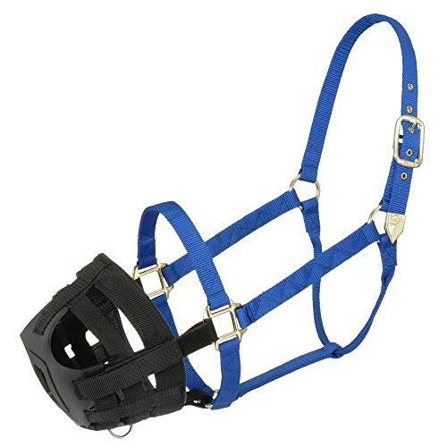Best Miniature Horse Grazing Muzzle Where to Buy?