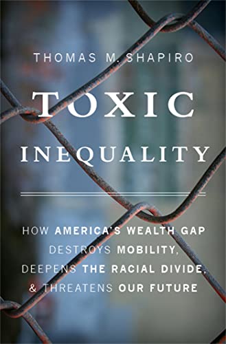 Toxic Inequality view 2