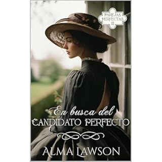 En busca del candidato perfecto Audiolibro Por Alma Lawson arte de portada