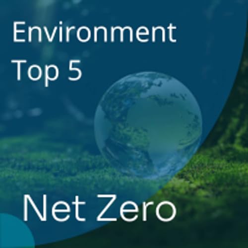 How are we going to meet Net Zero goals? | Environment Top 5 | Net Zero Week