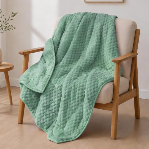 Image of Alomidds Fleece Weighted Blanket for Adults 15Lbs, 48 inchx 72 inch,Green Double Sided Sherpa & Flannel, Fluffy Warm All Season Heavy Blanket Filled with Glass Beads