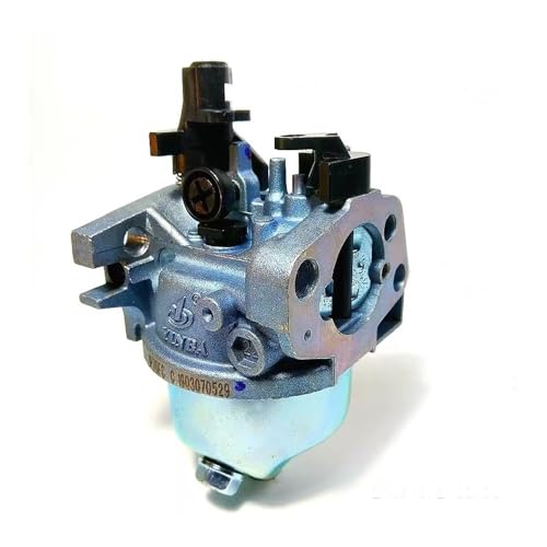 Carburateur 19 mm à Starter Manuel pour Tondeuse Gazon 196cc