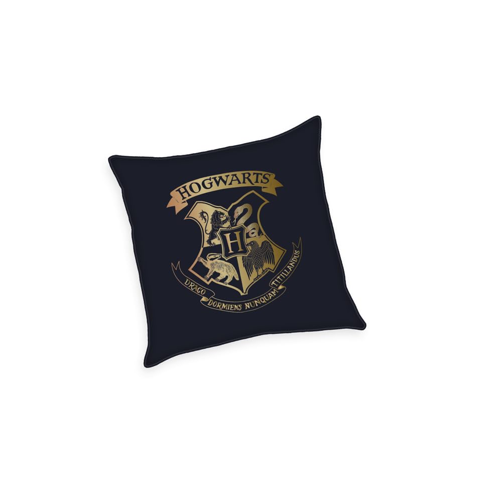 Herding Harry Potter Soft Velboa Cushion, 40 x 40 cm, 100% Polyester