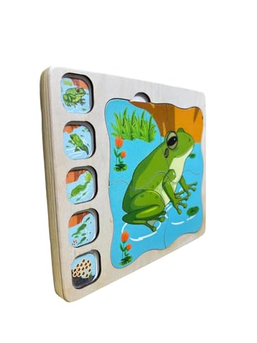 Image of Frog Life Cycle Layering Puzzle for Kids, Wooden Puzzle to Learn Frog Lifecycle, Ages 2+ | Maze Game Weather Calendar Clock -Interactive Weather & Time Learning | Combo Pack of 2