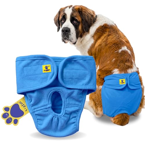 Image of A+a Pets' Cotton Dog Diapers | Underwear Panty | Stretchable Comfortable Washable and Reusable (XXL, Blue)