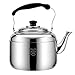 Sky Cloud Fischietto Bollitore-304 in Acciaio Inox Gas Biberon 3L-10L Whistling Domestica Addensare ad Alta capacità a Gas Fornello Ristorante Bollitore (Size : 10L)