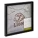 T-Shirt Display Frame by Studio Décor - Display Case for Shirts, Jerseys, Memorabilia - Black, 1 Pack