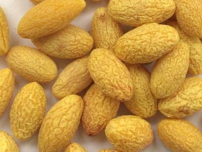 3 Pound (1362 grams) Dried olive fruit with licorice flavor (甘草风味的橄榄果干)