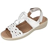 Livré dans une boîte à chaussures de marque