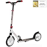 Ruedas delantera y trasera de 230 x 33 mm con rodamientos de carbono ABEC 7 con guardabarros y freno de fricción en la rueda trasera.