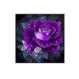 Pintura de diamante 5D: esta pintura de diamante por números es un producto semiacabado, y es totalmente artesanal. Si es tu primera vez que lo hagas, por favor sea más paciente. Disfruta del proceso de esta pintura de estilo nuevo. El kit de pintura de diamante 5D también es un regalo perfecto para amigos, también una gran cosa ayuda a aliviar el estrés.