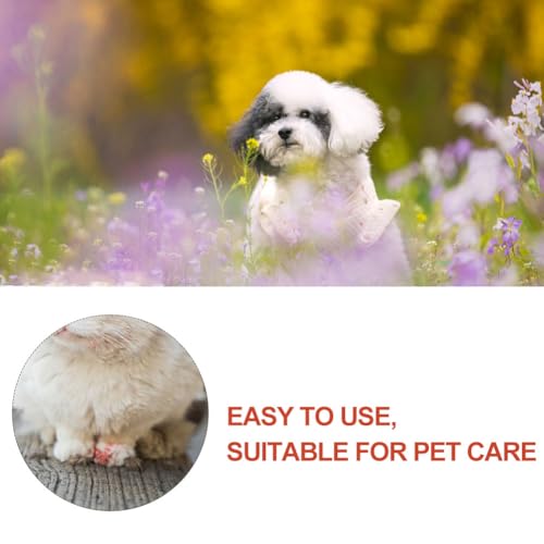 Cerioll Pulver Für Hunde, Styptic Powder, Blood Stop Powder, Hämostatisches Pulver Für Haustiere Für Hunde Katzen Haustier Hunde Katzen Hautpflege, 50g