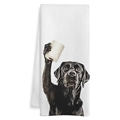 Labrador Retriever-3