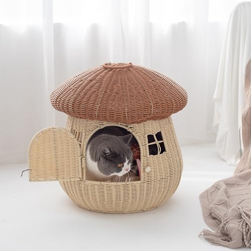҂ L  ybgnEX كxbh ^ L ҂ LmR^ u₩ ϊ ҂  ʋC ܂Ƃ VRf  z[ ΍ 킢 xe hAt ʔN 50*50*50cm