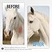 Horse Wound Care Spray with Silver – Wounds, Scratches, Cuts, Abrasions, Itching, Hot Spots, Skin Irritation – First Aid Solution and Breeds – 4 Oz