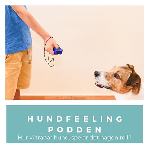 Hur vi tr&auml;nar hund, spelar det n&aring;gon roll?