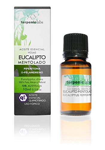 Terpenic Eucalipto Mentolado 10Ml Aceites Esenciales 10 Ml