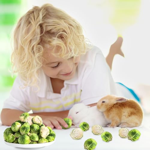 Snack para conejos con coles de Bruselas liofilizadas miniatura 6