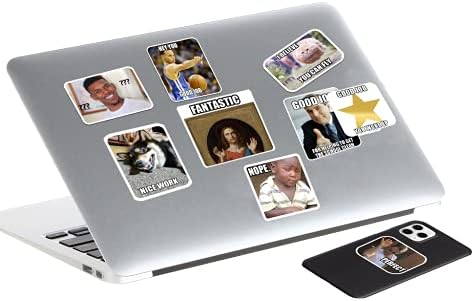 Meme Stickers 100PCS