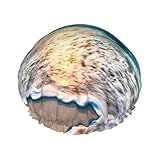 Matériau double couche doux pour la peau : fabriqué avec une doublure intérieure en PEVA doux et une couche extérieure en polyester hydrofuge, ce bonnet de cheveux imprimé lever de soleil océan équilibre imperméabilité et confort pour une protection quotidienne des cheveux.