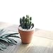YXMYH 6 Pcs Terracotta Pot Clay Pots 4'' Clay Ceramic Pottery Planter Cactus Flower Pots Succulent Pot Drainage Hole- for Indoor/Outdoor Plant Crafts