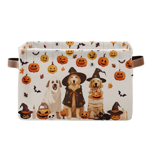 Halloween Dog Basket - Pumpkin Storage Baskets Collapsible - Blac...