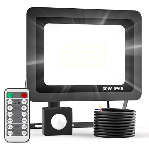Realky Security Lights Outdoor Motion Sensor with Remote Control, 30W 3000LM LED Floodlights with PIR Sensor 6500K Outdoor Spotlight Brightness Adjustable & Timing Function for Garden Backyard