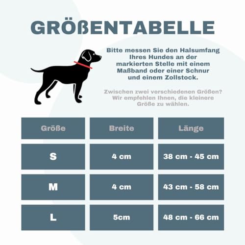 teamwalk® Premium Hundehalsband - mit Magnetgriff, Leuchtstreifen, Air-Tag Tasche, individuell einstellbar, weiche Polsterung, robuste Schnalle, mit passender Leine erhältlich, JETZT NOCH Leichter(M)