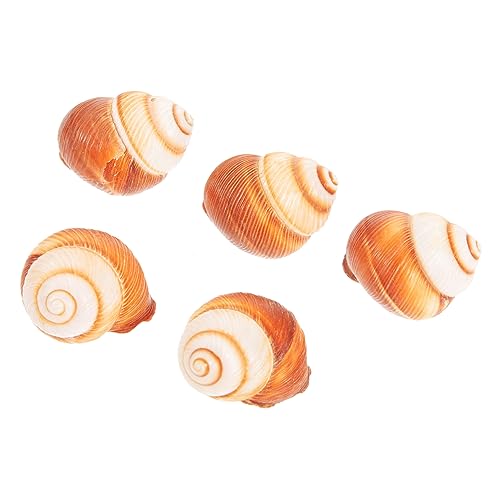 BESTYASH 5 Piezas Concha de Escargot Natural para Cocción para Preparar Caracoles Decorativa y para Platos Franceses y Presentaciones Gourmet