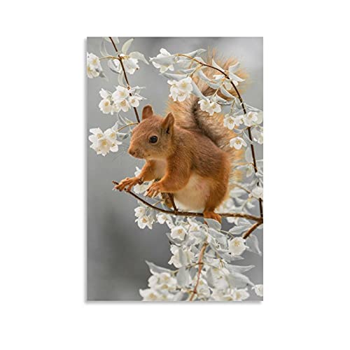 ZHENQI Poster d'art sur toile Motif écureuil 20 x 30 cm Cover