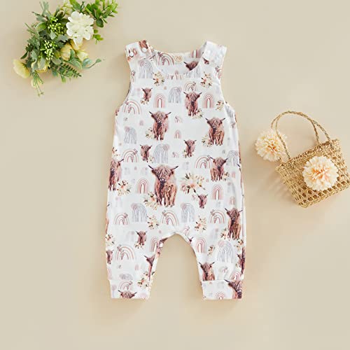Karuedoo Western Baby Boy Girl Clothes Cow Print Sleeveless Romper Jumpsuit One Piece Bodysuit Outfit Boho Summer Clothes (C Rainbow, 6-12 Months) #TOP1