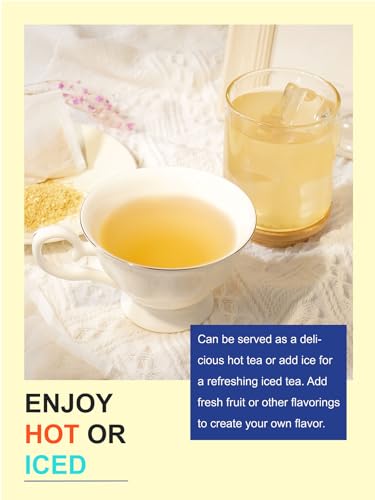 Image of TeeLux Ginger Tea Bags, Natural Ginger Root Tea, Spicy & Zesty & Warm Flavor, Caffeine Free, 100 Count