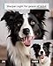 blurams Pet Camera 2K, 360° Dog Camera with Phone App, PTZ Indoor Cameras for Home Security Indoor, 2-Way Audio, Motion Tracking, Color/IR Night Vision, Siren, Cloud&SD(2.4GHz Only)