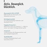 ReaVET Gelenktabletten für Hunde – Mit Grünlippmuschel, Glucosamin, MSM & Teufelskralle – Unterstützt Gelenkfunktion & Beweglichkeit – Bewährt bei älteren & aktiven Hunden – 180 Stück