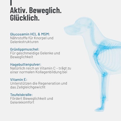 ReaVET Gelenktabletten für Hunde – Mit Grünlippmuschel, Glucosamin, MSM & Teufelskralle – Unterstützt Gelenkfunktion & Beweglichkeit – Bewährt bei älteren & aktiven Hunden – 180 Stück