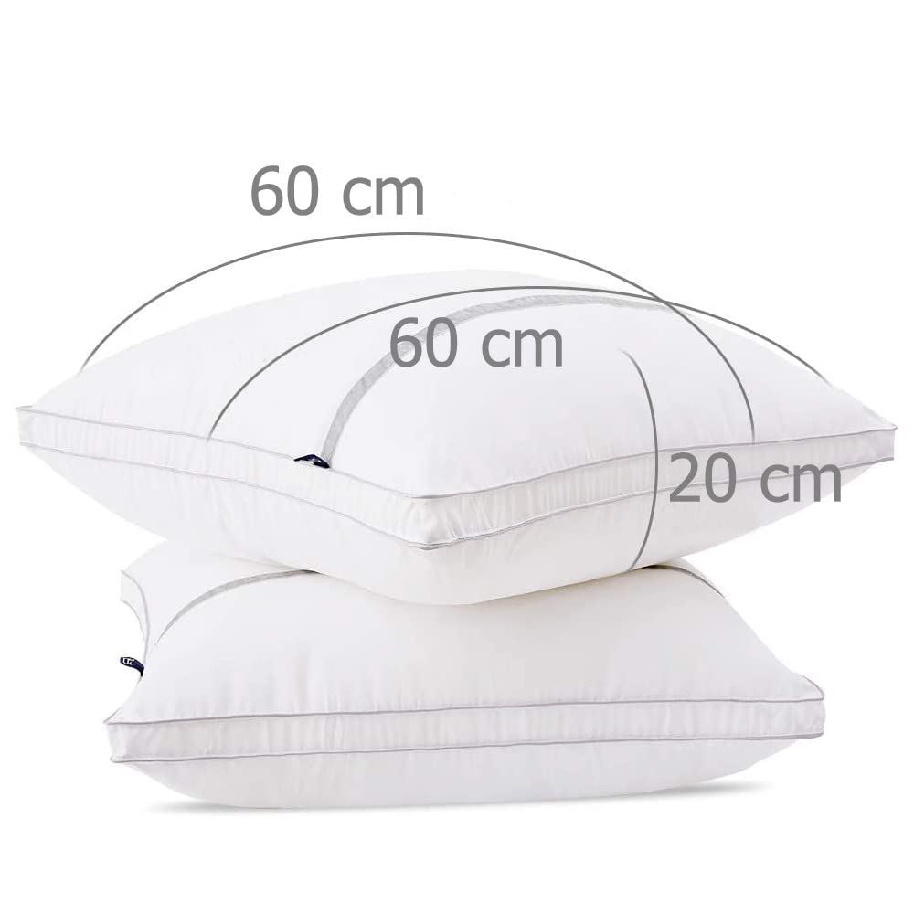 BedStory Oreillers 60x60 Lot de 2, Anti-acarien et Hypoallergénique, Oreiller Gonflant avec Garnissage de 3D Fibre Polyester, Confortable et Respirable, et Peut Utilisé comme Coussin de Canapé