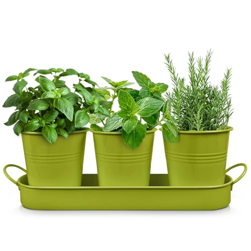 Plexon Herb Planter Indoor Garden Set of 3 with Tray,