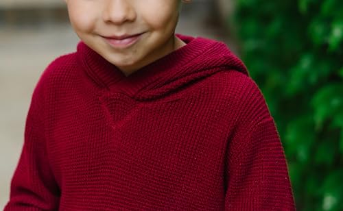 Image of Hope & Henry Boys' Hooded Pullover Sweater