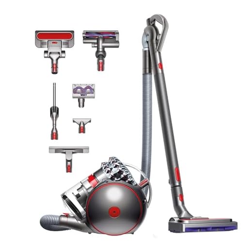 Dyson Cinetic Big Ball Absolute 2