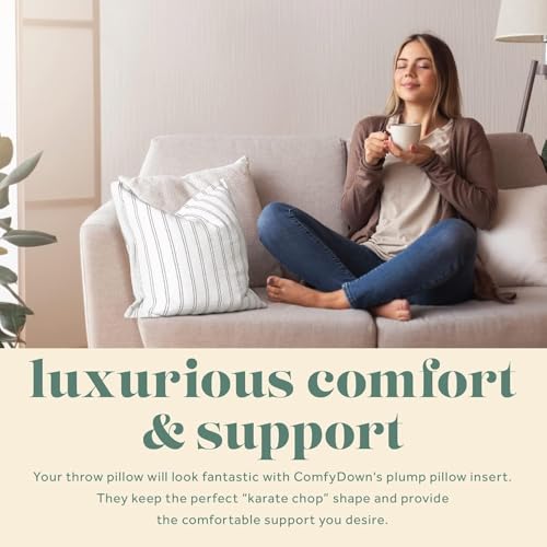 Image of ComfyDown 14x16 Throw Pillow Insert, Down & Feather Fill, 100% Cotton Cover, Made in USA - Premium Soft Decorative Pillow Form Sham Stuffer for Bed, Sofa & Couch