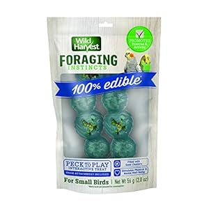Wild Harvest Foraging Instincts Peck n’ Play Interactive Treat, 2 Ounce, for Small Birds