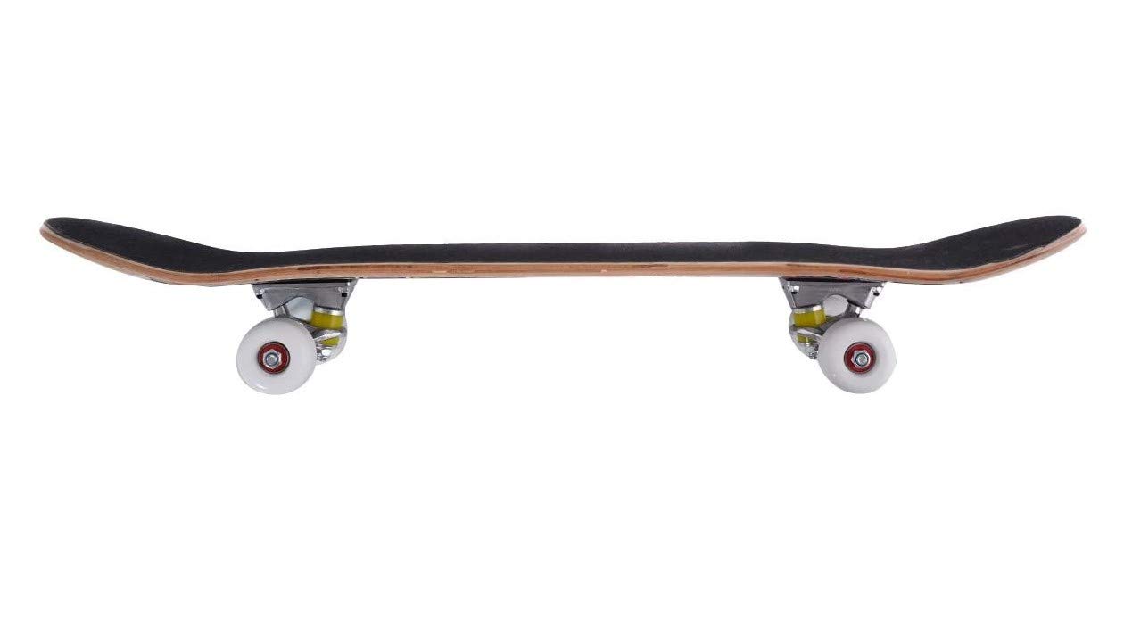 Skateboard Complet Double Kick Maple Deck Concave Cruiser pour Enfants Adolescents Adultes Débutants avec Outil en T