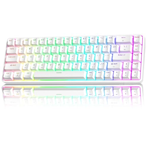 TMKB T68 Kabellose Mechanische Gaming-Tastatur Tri-Mode (Bluetooth/5.0/2.4GHz/USB-C) 60% RGB Tastatur mit 68 Tasten (QWERTY Layout) Blue Switches - Weiß