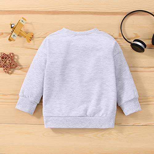 Toddler Boy's Cotton Crewneck Long Sleeve Sweatshirt Letter Long Sleeve Pullover Tops Fall Winter (Grey, 3-4 Years)3