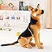 YMQKX 30-90cm Kuscheltier Plüsch Simulation Deutscher Schäferhund Puppe Plüschtier Kreatives Kuscheltier Spielzeug Spielzeug für Kid Girl Boy 90cm Ständer