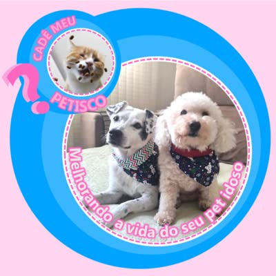 Cad&ecirc; meu petisco? #14 - Melhorando a vida do seu pet idoso