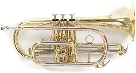 Roy Benson Bb Cornett MOD.CR-202 Lacquered Finish, incl. Light Rectangular case (RB701090)